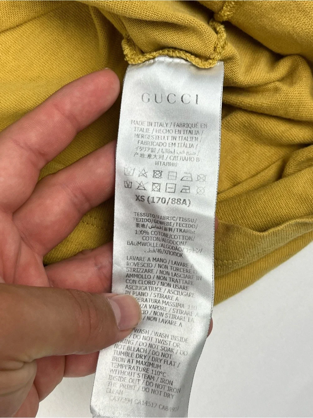 The North Face gucci north